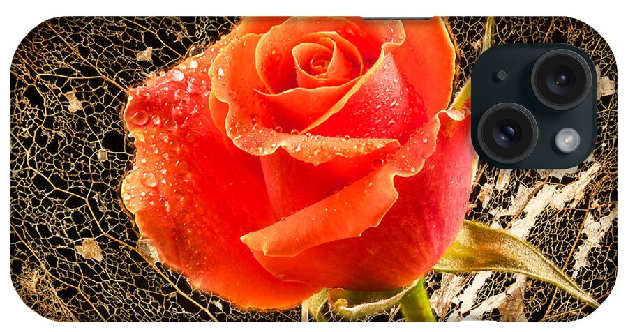 Rose iPhone Case featuring the photograph Beauty and the beast by Jean Noren