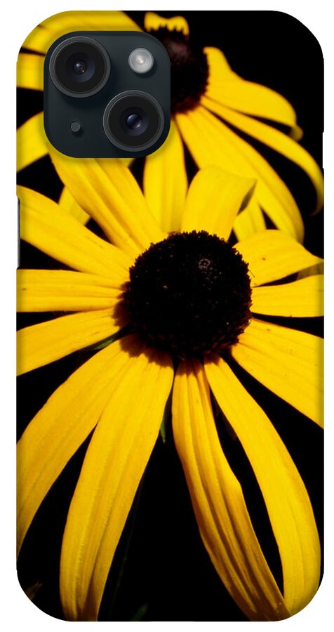 Butterfly iPhone Case featuring the photograph Beauty in yellow by Kim Galluzzo