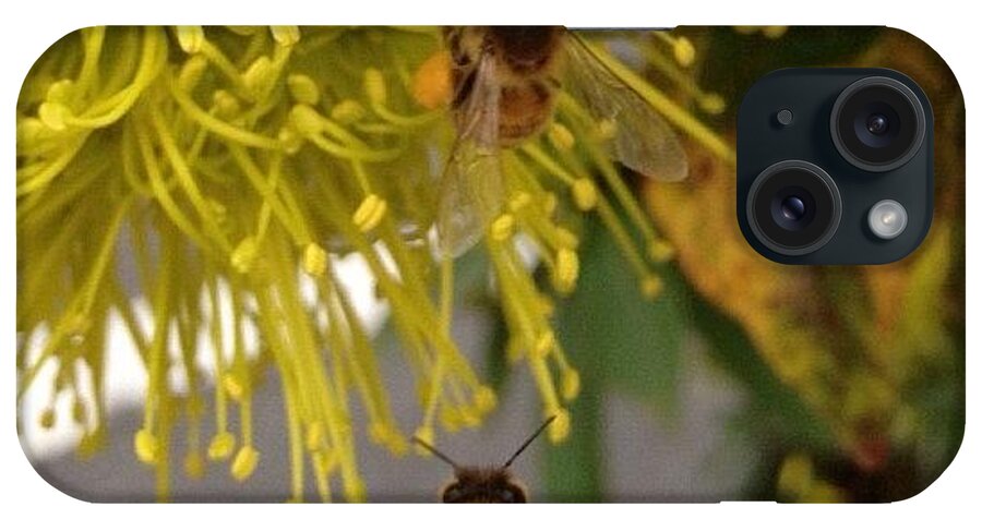 Instagram iPhone Case featuring the photograph Bee Careful by Cameron Bentley