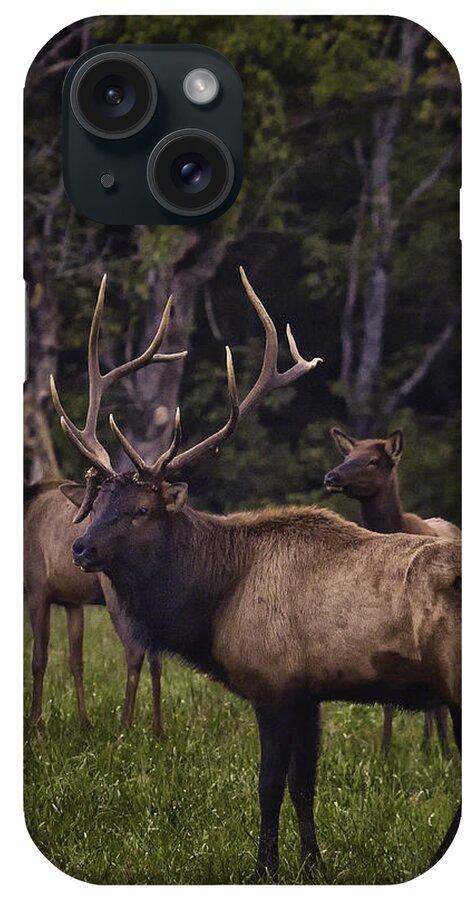 Bull Elk iPhone Case featuring the photograph Big Bull in Lost Valley by Michael Dougherty