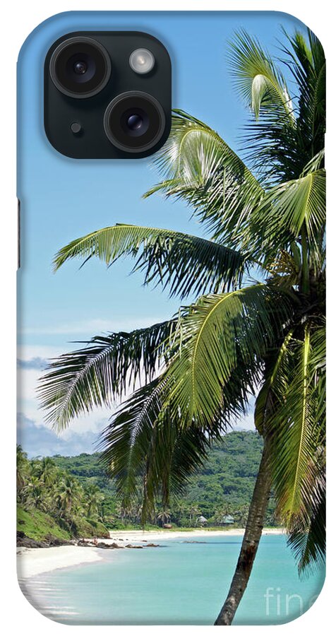 Nicaragua iPhone Case featuring the photograph Big Corn Island Palm Tree Nicaragua by John Mitchell