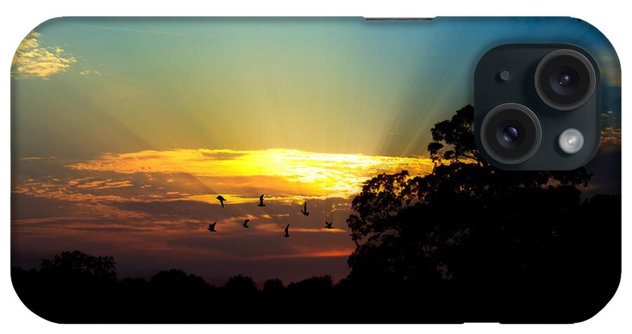 Landscape iPhone Case featuring the photograph Birds Flying Sunset by Ms Judi