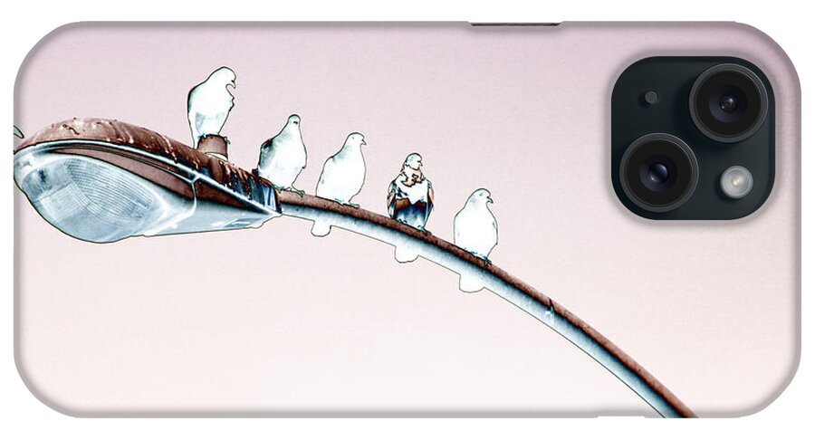 Birds iPhone Case featuring the photograph Birds on a Streetlight by Diana Haronis