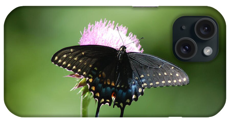Black Swallowtail iPhone Case featuring the photograph Black Swallowtail in Macro by Susan Stevens Crosby