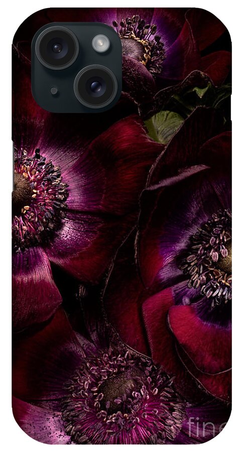 Anemone iPhone Case featuring the photograph Blood Red Anemones by Ann Garrett