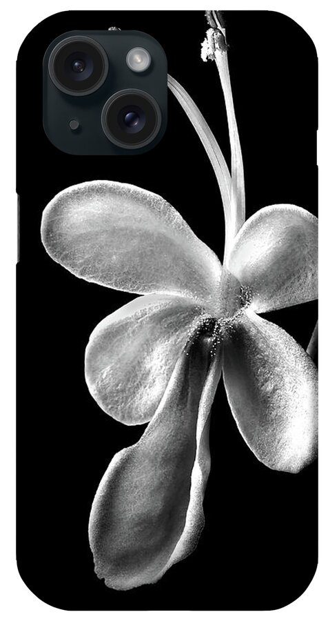 Flower iPhone Case featuring the photograph Blue Butterfly in Black and White by Endre Balogh