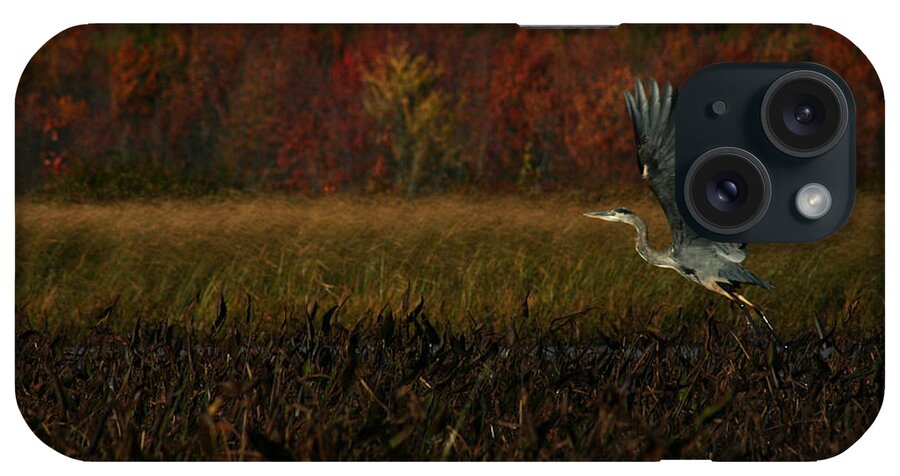 Blue Heron iPhone Case featuring the photograph Blue Heron Mud Pond Dublin by Benjamin Dahl