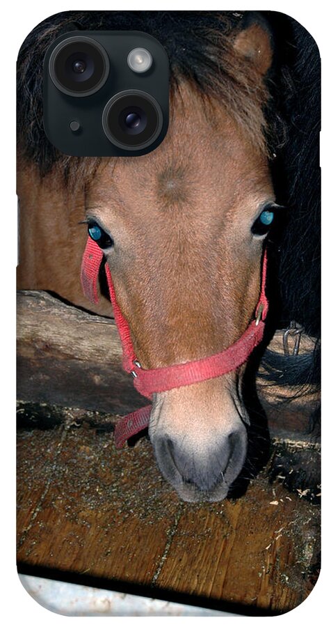 Usa iPhone Case featuring the photograph Blue Pony eyes by LeeAnn McLaneGoetz McLaneGoetzStudioLLCcom