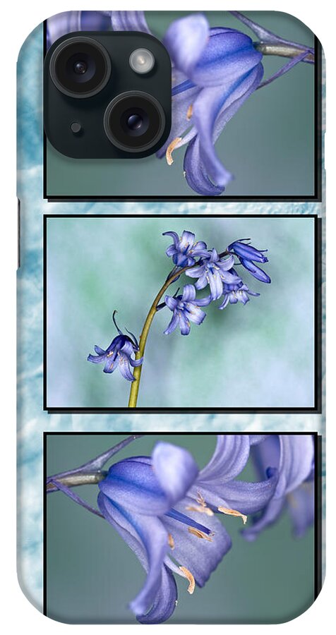 Bluebells Triptych iPhone Case featuring the photograph Bluebell Triptych by Steve Purnell