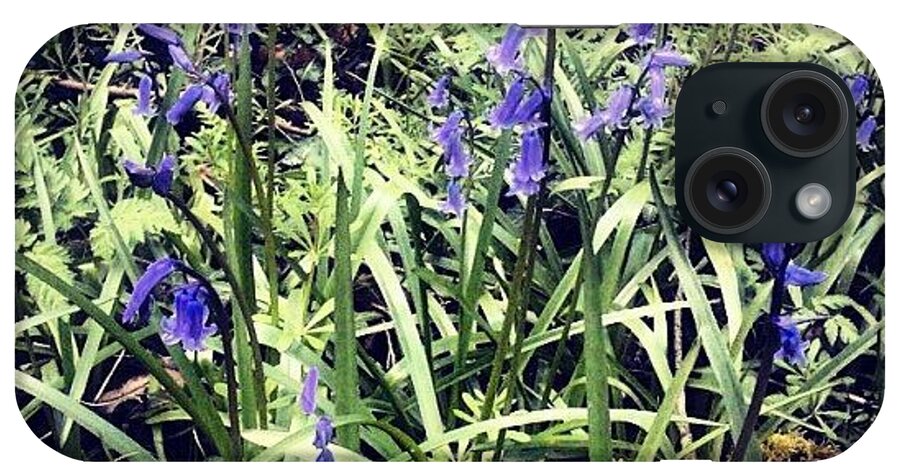 Bluebells iPhone Case featuring the photograph Bluebells by Nic Squirrell