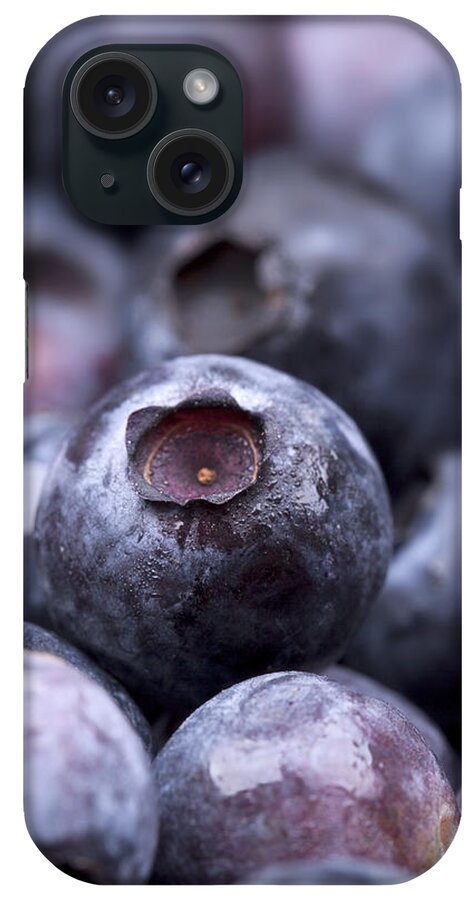 Agriculture iPhone Case featuring the photograph Blueberries by Jane Rix