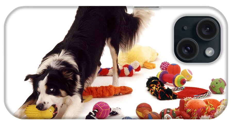 Dog iPhone Case featuring the photograph Border Collie With Toys by Jane Burton