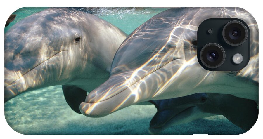 00087645 iPhone Case featuring the photograph Bottlenose Dolphin Underwater Pair by Flip Nicklin