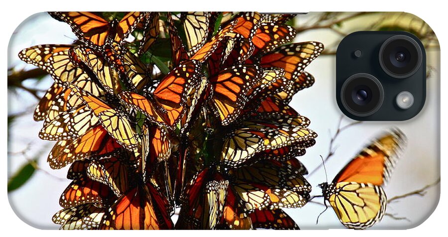 Butterflies iPhone Case featuring the photograph Bouquet of Butterflies by Diana Hatcher