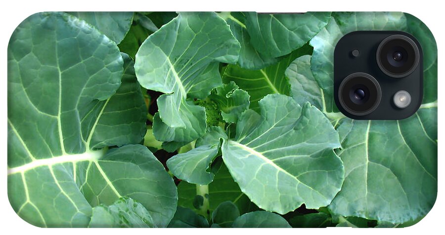 Fresh iPhone Case featuring the photograph Broccoli Floret Forming by Connie Fox