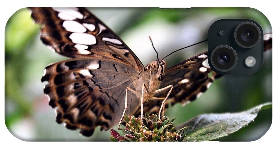  iPhone Case featuring the photograph Brown Butterfly by Mark Valentine