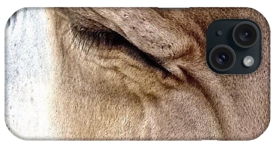 Livestock iPhone Case featuring the photograph Brown Swiss Cow by Natasha Marco