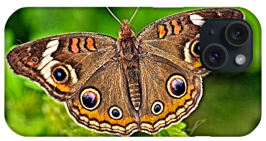 Bug iPhone Case featuring the photograph Buckeye Butterfly by Nick Zelinsky Jr