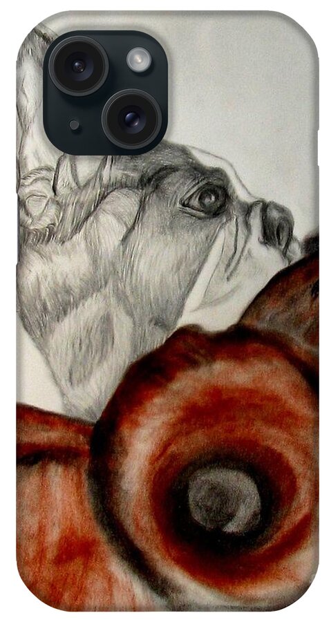 Boston Terrier iPhone Case featuring the drawing Bundled in Blankets by Maria Urso