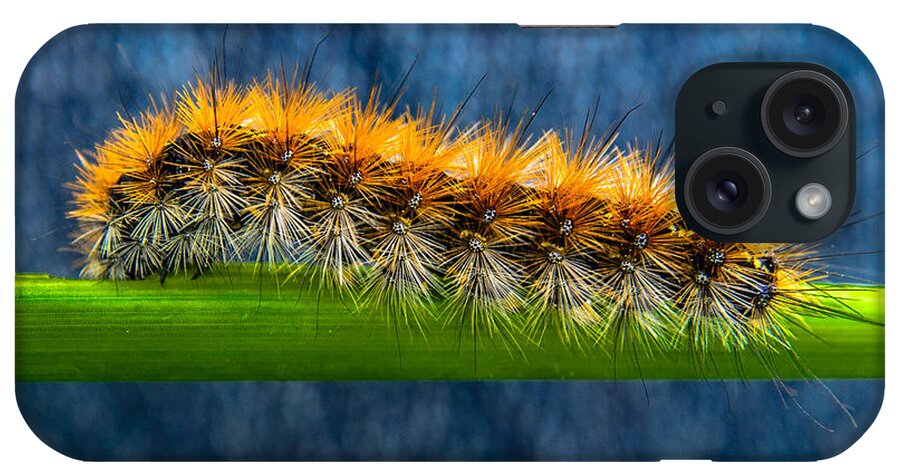 Animal iPhone Case featuring the photograph Butterfly Caterpillar Larva On The Stem by Michael Goyberg