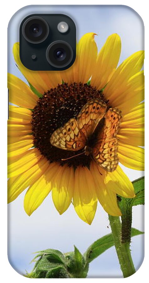 Sunflower iPhone Case featuring the photograph Butterfly on a Sunflower by Shane Bechler