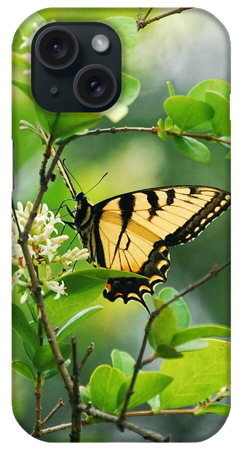 Butterflies iPhone Case featuring the photograph Butterfly Tiger Swallow by Peggy Franz