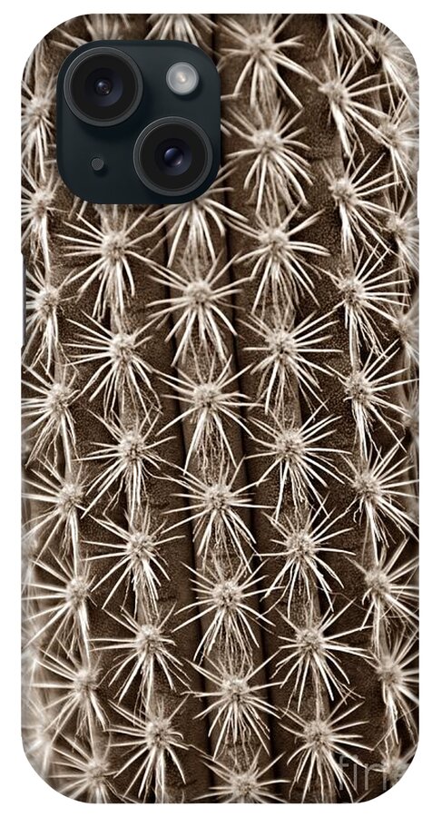 Cactus iPhone Case featuring the photograph Cactus 19 Sepia by Cassie Marie Photography