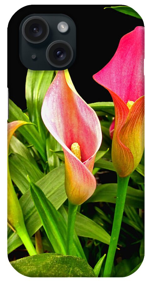 Nature iPhone Case featuring the photograph Calla Lillies by Debbie Portwood