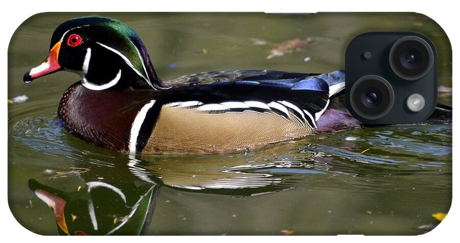 Wood Duck iPhone Case featuring the photograph Calm On The Pond by Fraida Gutovich