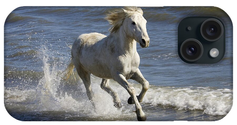 Mp iPhone Case featuring the photograph Camargue Horse Equus Caballus Running by Konrad Wothe