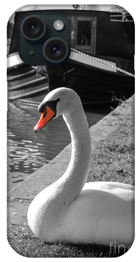 Yhun Suarez iPhone Case featuring the photograph Canal Swan by Yhun Suarez