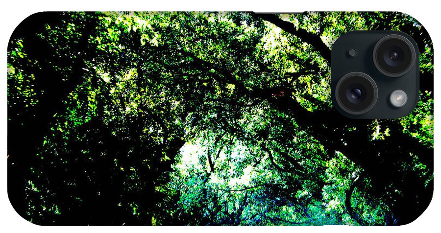 Live Oak iPhone Case featuring the photograph Canopy by Lizi Beard-Ward
