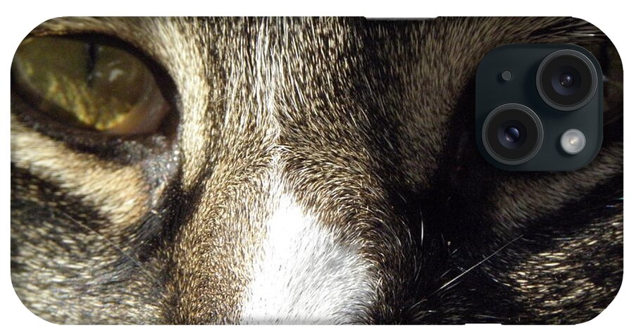 Eyes iPhone Case featuring the photograph Cat Eyes by Kim Galluzzo