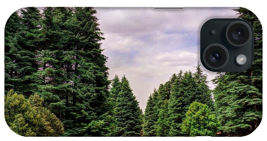 Cedar iPhone Case featuring the photograph Cedar forest by Ivan Slosar