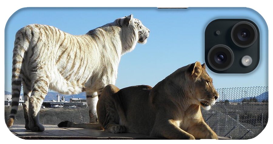 Lion iPhone Case featuring the photograph Chalet and Kumba by Kim Galluzzo