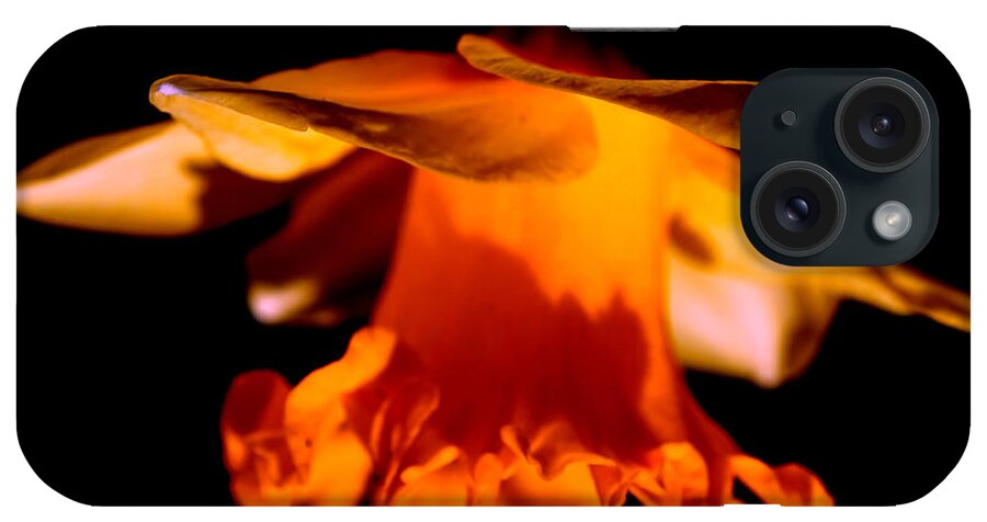 Daffodil iPhone Case featuring the photograph Chinese Night Lantern by Diane montana Jansson