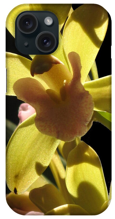 Orchid iPhone Case featuring the photograph Chinese Orchid by Alfred Ng