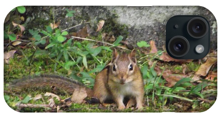 Nature iPhone Case featuring the photograph Chipmunk by Michelle Welles