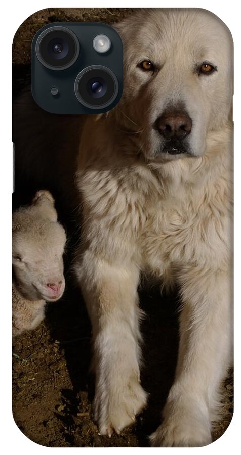 Great Pyrenees iPhone Case featuring the photograph Close Personal Protection by Charles and Melisa Morrison