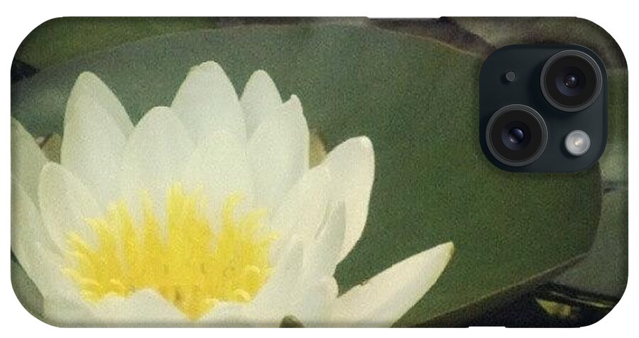  iPhone Case featuring the photograph Closer Up Of The Lily by Teresa Mork