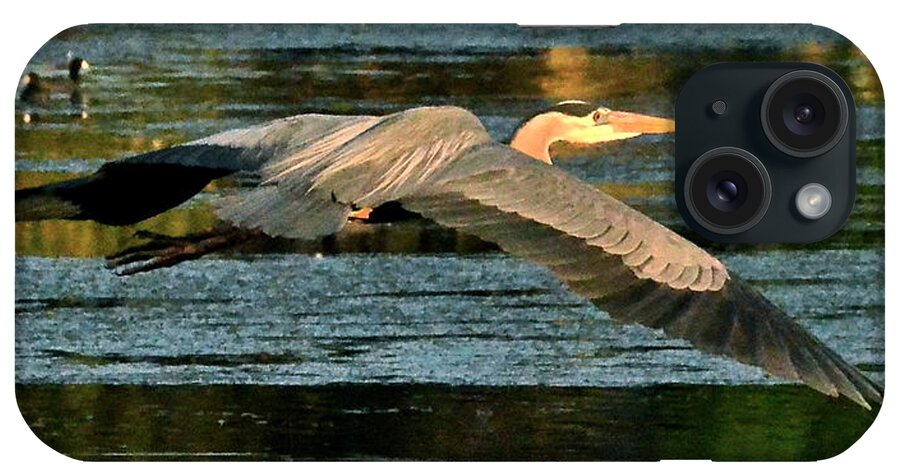 Heron iPhone Case featuring the photograph Colorful Evening Flight by Carol Bradley