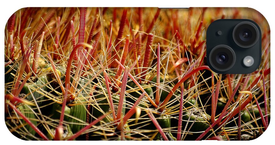 Cactus iPhone Case featuring the photograph Complexity of Nature by Vicki Pelham