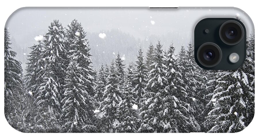 Mp iPhone Case featuring the photograph Coniferous Forest In Winter, Alps by Konrad Wothe