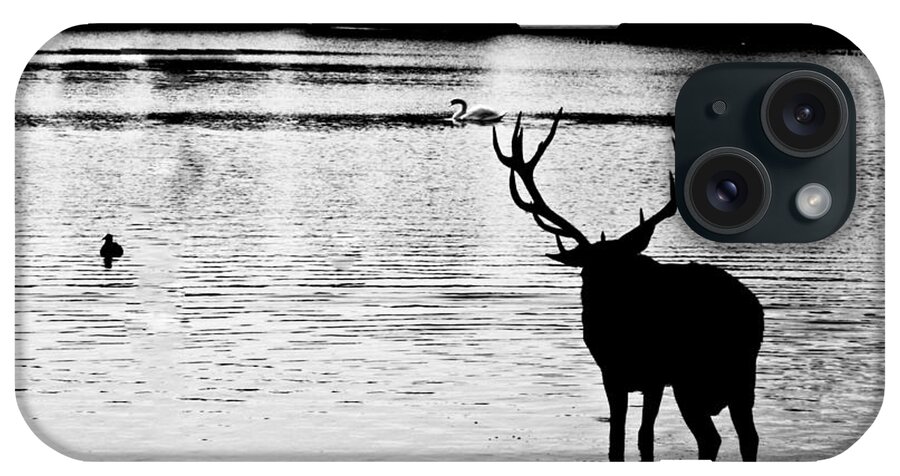 Deer iPhone Case featuring the photograph Cooling off Deer by Maj Seda