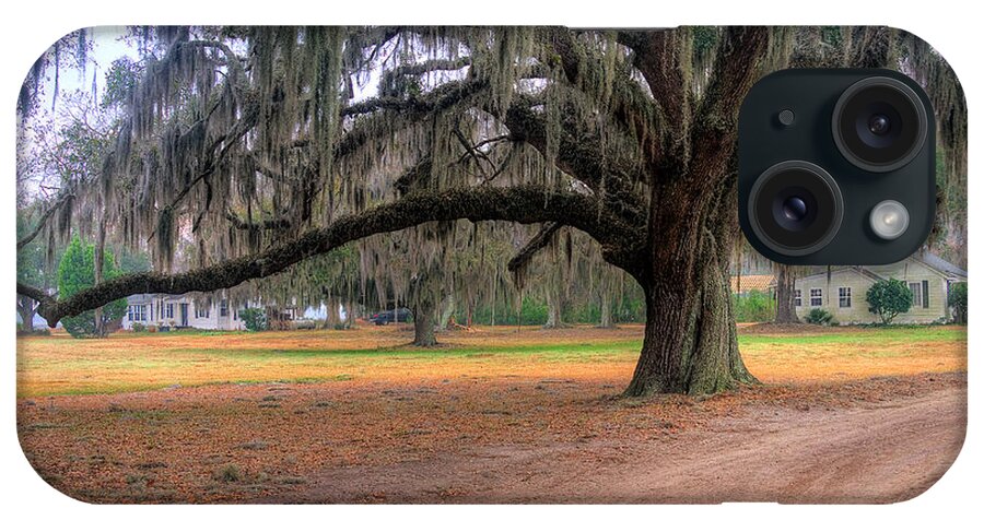 Coosaw iPhone Case featuring the photograph Coosaw Plantation Live Oak by Scott Hansen