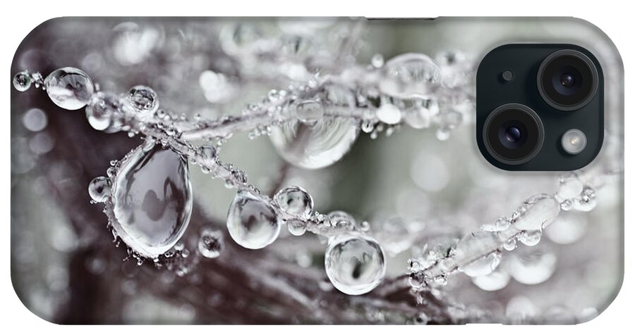 Water Drops iPhone Case featuring the photograph Corned Jewels by Sue Capuano