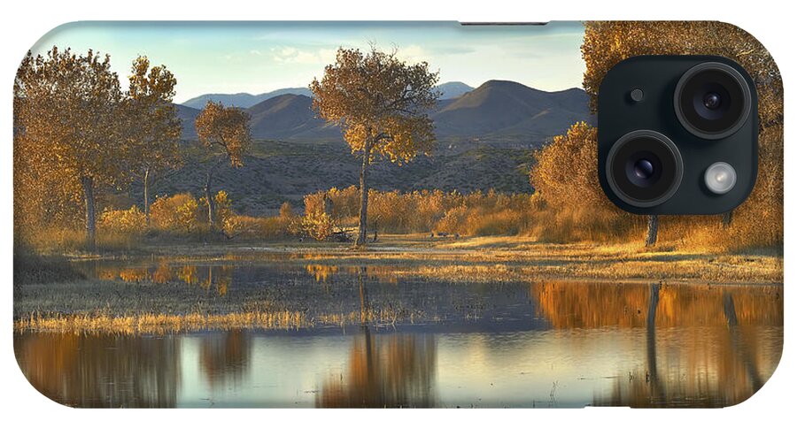 00175137 iPhone Case featuring the photograph Cottonwood Trees And Willows Fall by Tim Fitzharris