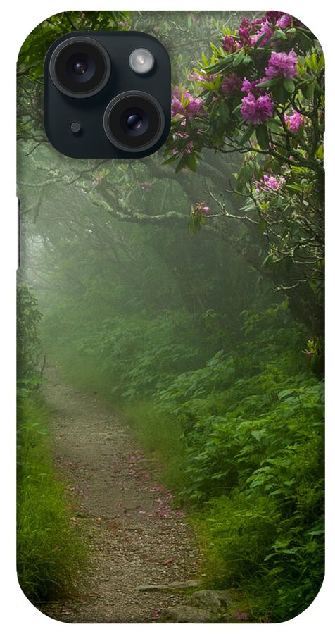 Great Smoky Mountains iPhone Case featuring the photograph Craggy Path 2 by Joye Ardyn Durham