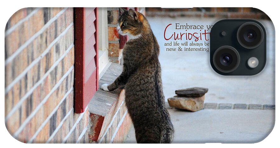 Curious iPhone Case featuring the photograph CURIOSITY Inspirational Cat Photograph by Jai Johnson