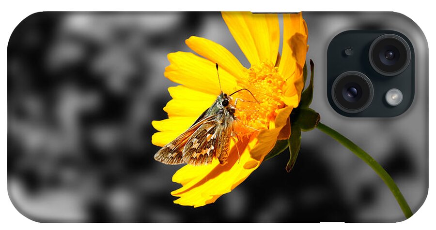 Butterfly iPhone Case featuring the photograph Cute Butterfly On Yellow Gerbera Daisy by Tracie Schiebel